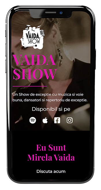 Vaida Mirela - preview proiect